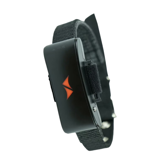Rastreador GPS para perros 4G