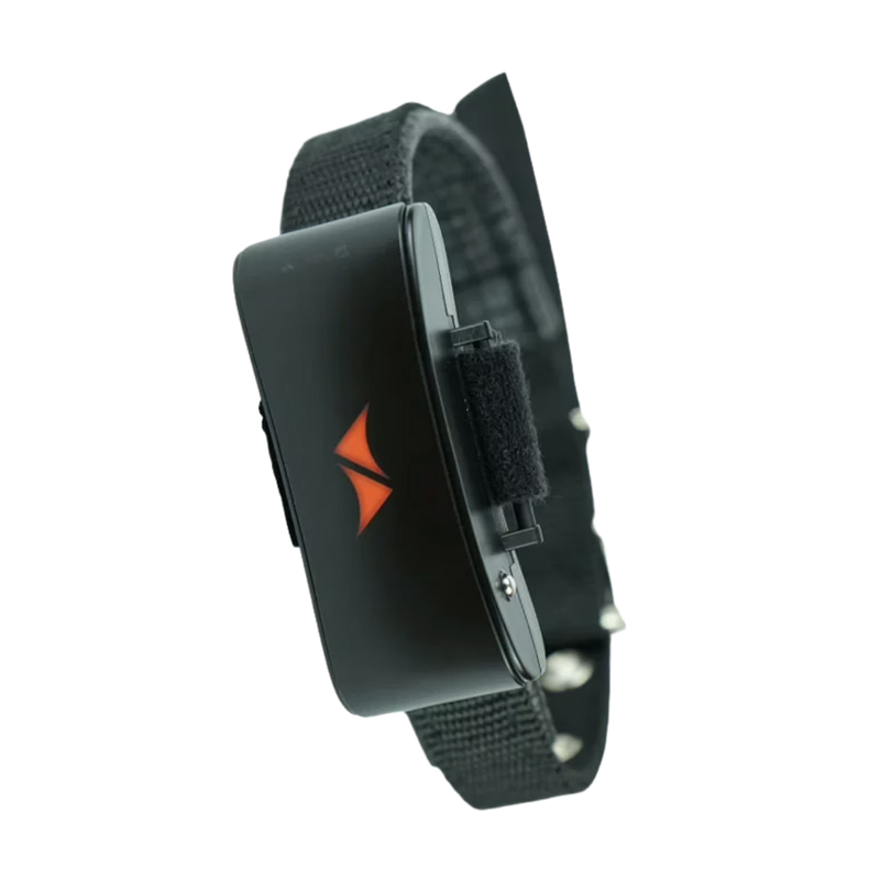 Rastreador GPS para perros 4G