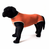 BODY COPPER PROTECTION T.1