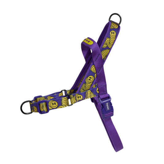 LORDS OF ZEE.TOWN ZMILEY SOFTER WALK HARNESS MEDIU