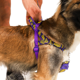LORDS OF ZEE.TOWN BRAIN SOFTER WALK HARNESS MEDIUM