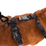 BLACK PANTHER ADJUSTABLE AIR MESH HARNESS MEDIUM