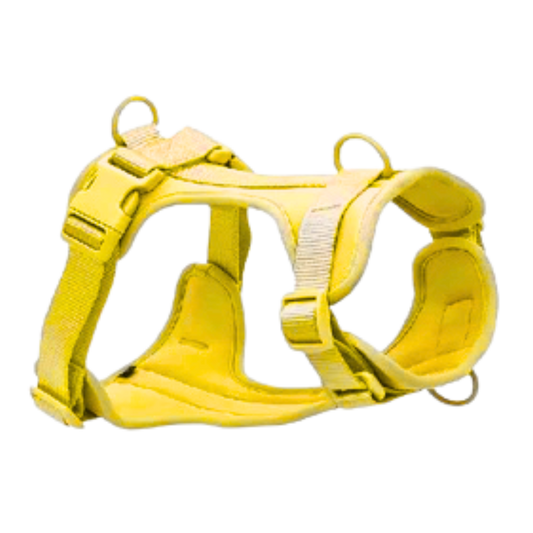 Kit Arnés + Correa Manos Libres - Talla S/ Amarillo + lila/ verde