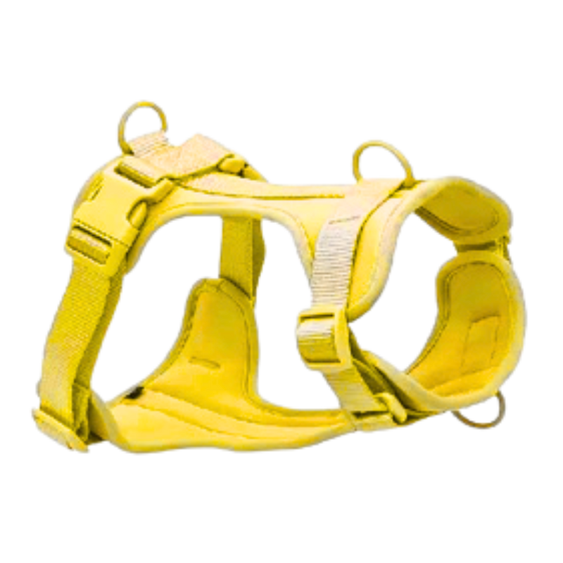 Kit Arnés + Correa Manos Libres - Talla S/ Amarillo + lila/ verde