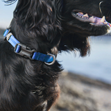 Tumble collar, unisex, Azul, 2XS, single