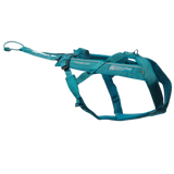 Freemotion Harness 5.0 – Unisex – Teal – Talla 6