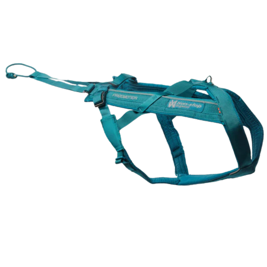 Freemotion Harness 5.0 – Unisex – Teal – Talla 6