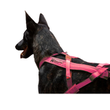 Freemotion Harness 5.0 – Unisex – Rosa/Gris – Talla 3