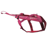 Freemotion Harness 5.0 – Unisex – Rosa/Gris – Talla 3