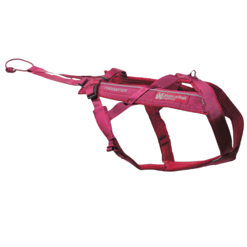 Freemotion Harness 5.0 – Unisex – Rosa/Gris – Talla 3