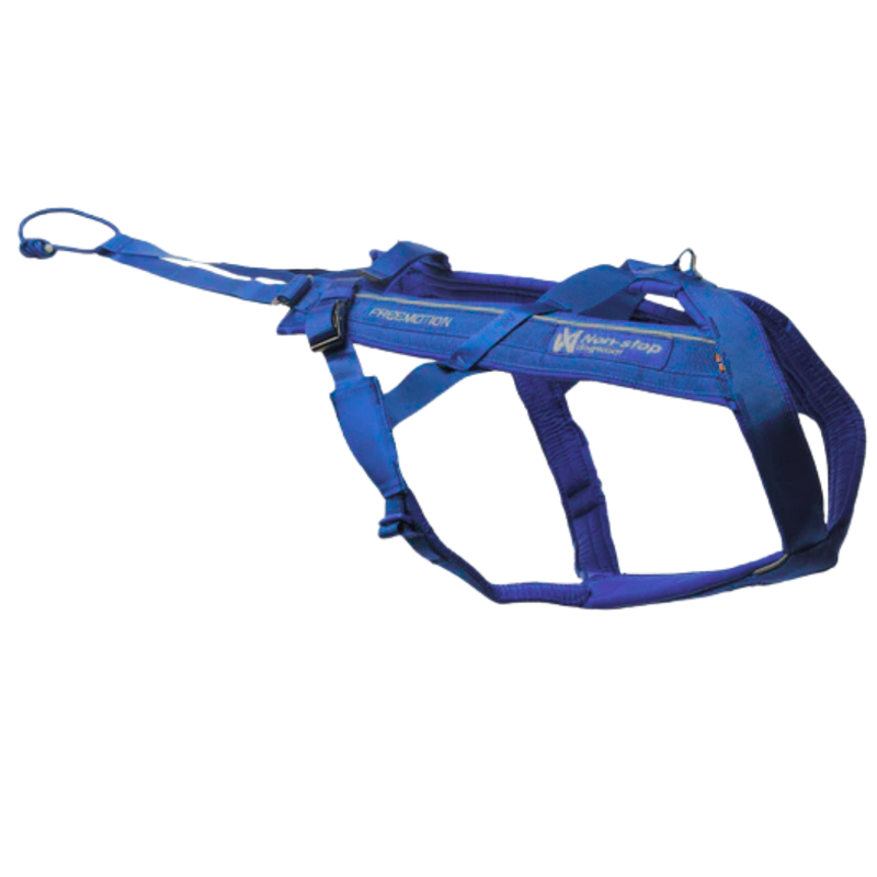 Freemotion Harness 5.0 – Unisex – Azul/Gris – Talla 3
