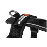 Line Harness 5.0 – Unisex – Azul – Talla 5