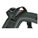 Ramble Harness – Unisex – Verde – Talla M