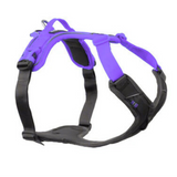 Ramble Harness – Unisex – Púrpura – Talla S