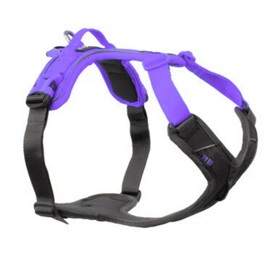 Ramble Harness – Unisex – Púrpura – Talla S
