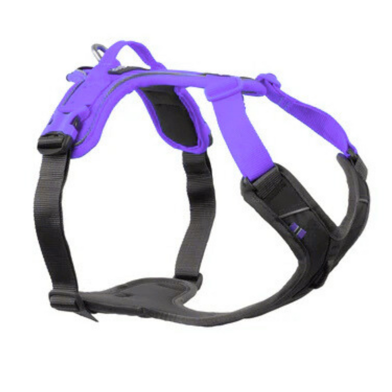 Ramble Harness – Unisex – Púrpura – Talla S