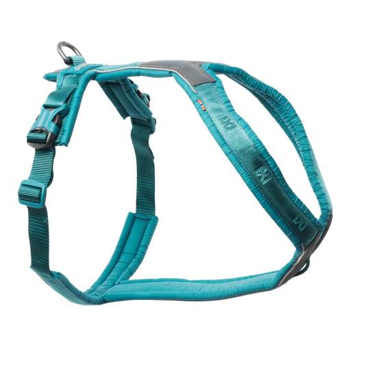 Line harness 5.0, unisex, Teal, 6, single