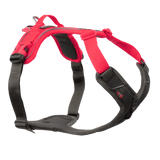 Ramble harness, unisex, Negro/Rosa, XS, single