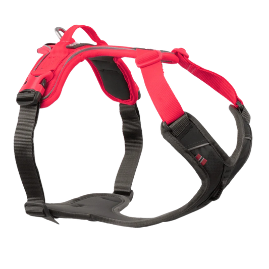 Ramble harness, unisex, Negro/Rosa, S, single