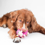 Oveja ruidosa Tootiez Outward Hound / Rosada