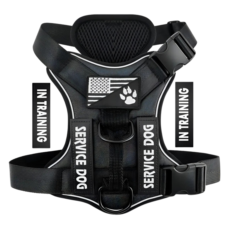 Arnes para perro Demigreat talla S/ Negro