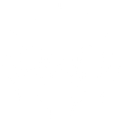 Ícono