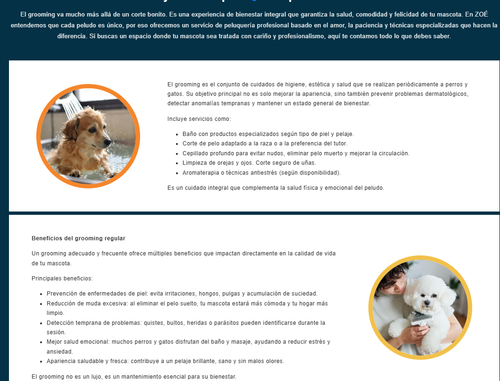 blog4