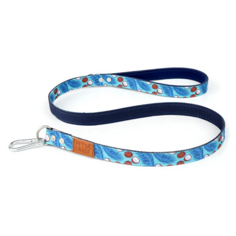 Correa Paw paws Talla S / Diseño pride Azul