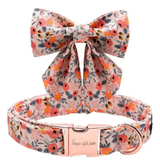 Collar Paw paws Talla M / Diseño de corbata