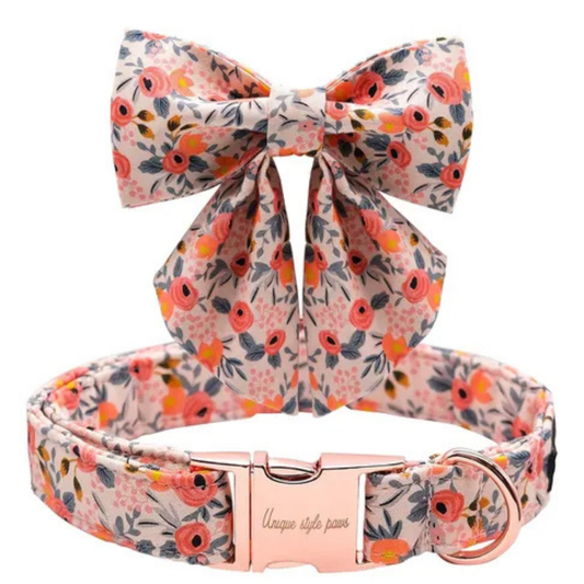 Collar Paw paws Talla L / Diseño de corbata