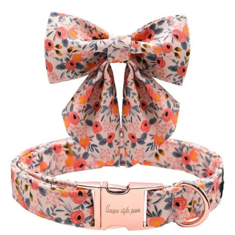 Collar Paw paws Talla M / Diseño de corbata