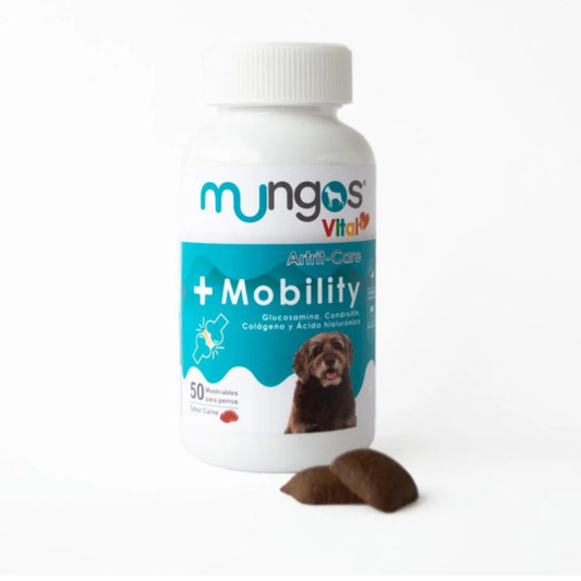 Mungos vital + mobility x 50 und