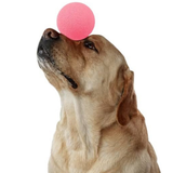 Pelota silenciosa para apretar Godog / Verde - Rojo