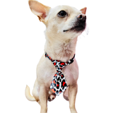 Correa Paw paws Talla L / Diseño corbata