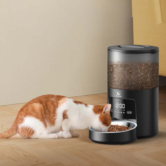 Comedero automatico para mascotas Molypet / Negro