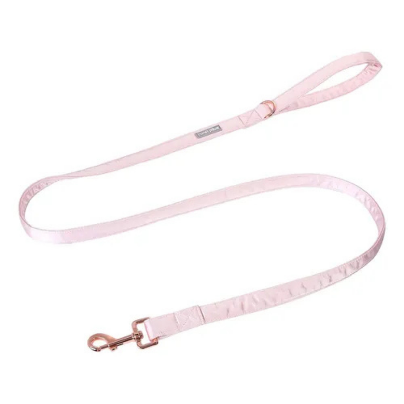 Correa Paw paws Talla M / Diseño pride rosada