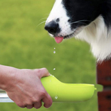 Petkit viaje siempredulce S400 / Verde