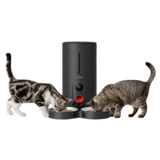 Comedero automatico de 2 comidas Woopet/ negro