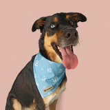 Pañoleta pride Paw paws Talla L / Azul