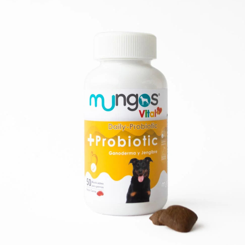 Mungos vital + probiotic x 50 und