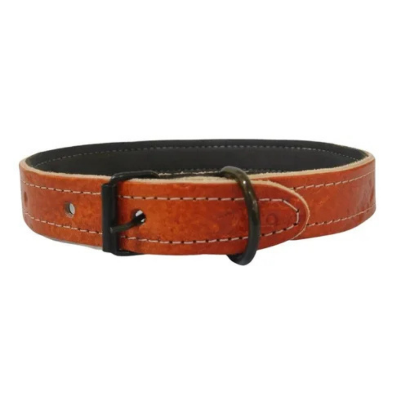 Collar Paw paws Talla M / Diseño polca citrica cafe