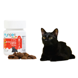 Mungos vital + cats omegas x 80 und